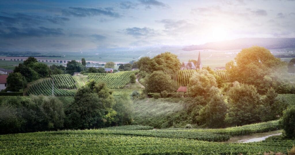 Visit Champagne France