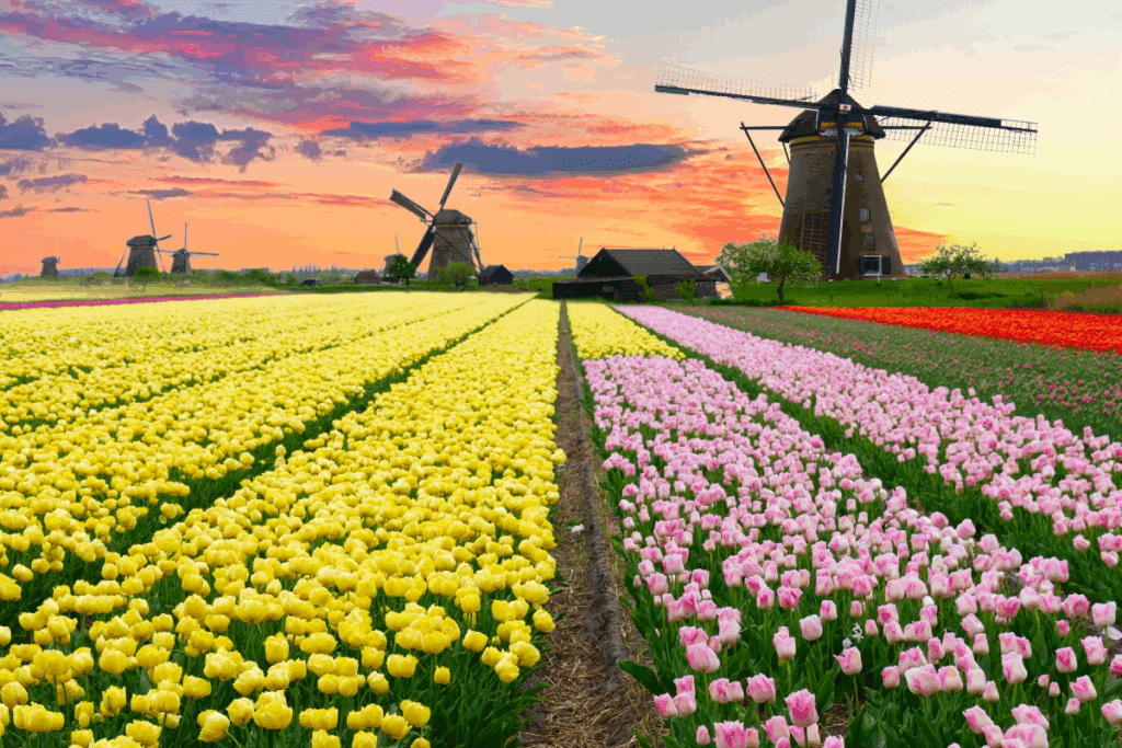 Spring river cruise in Europe