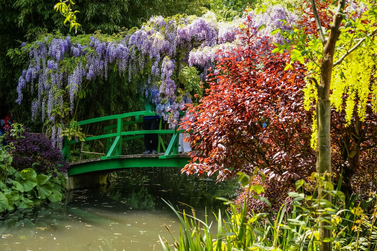 Monet gardens at Giverny on a Seine River Cruise