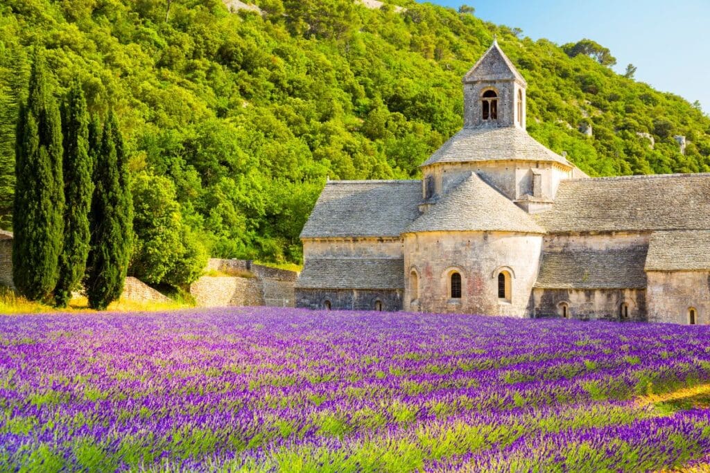 River cruising through Provence
